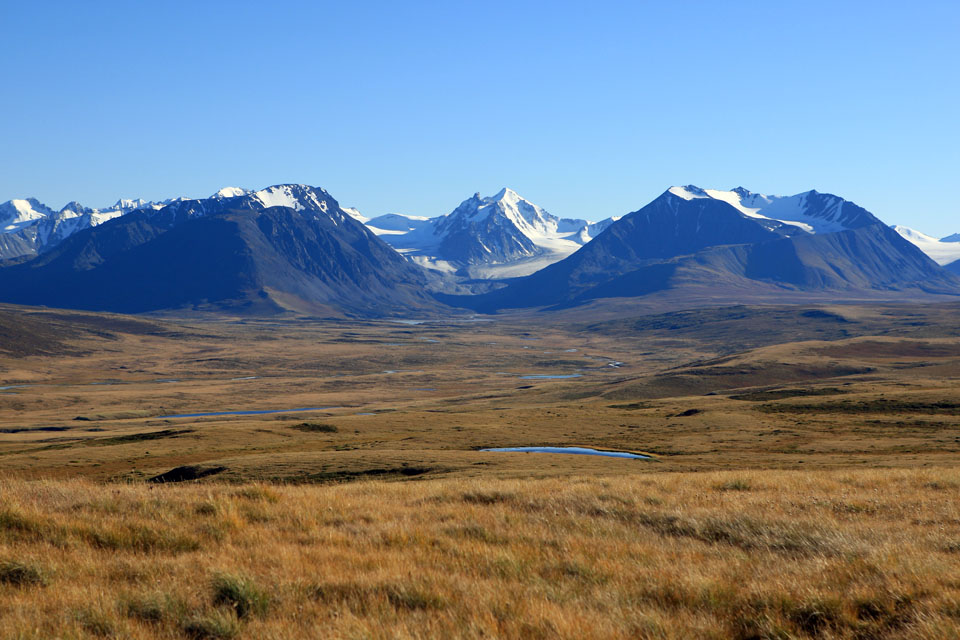 Плато Укок горный Алтай фото